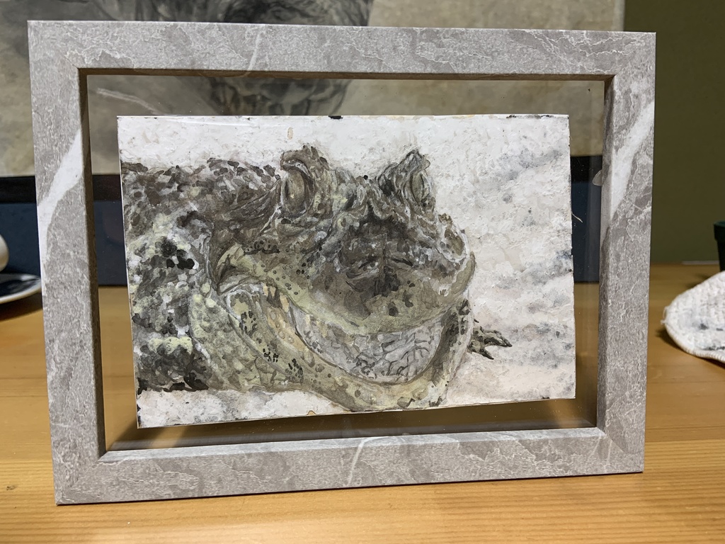 【額装済原画】クチヒロカイマン