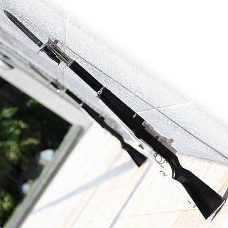 中華民國三軍儀隊M1禮賓槍 ROC M1 Drill Purpose Rifle