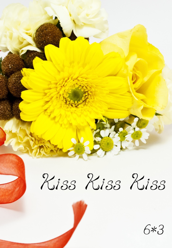 【頒布終了】Kiss Kiss Kiss[ナギみつ小説]