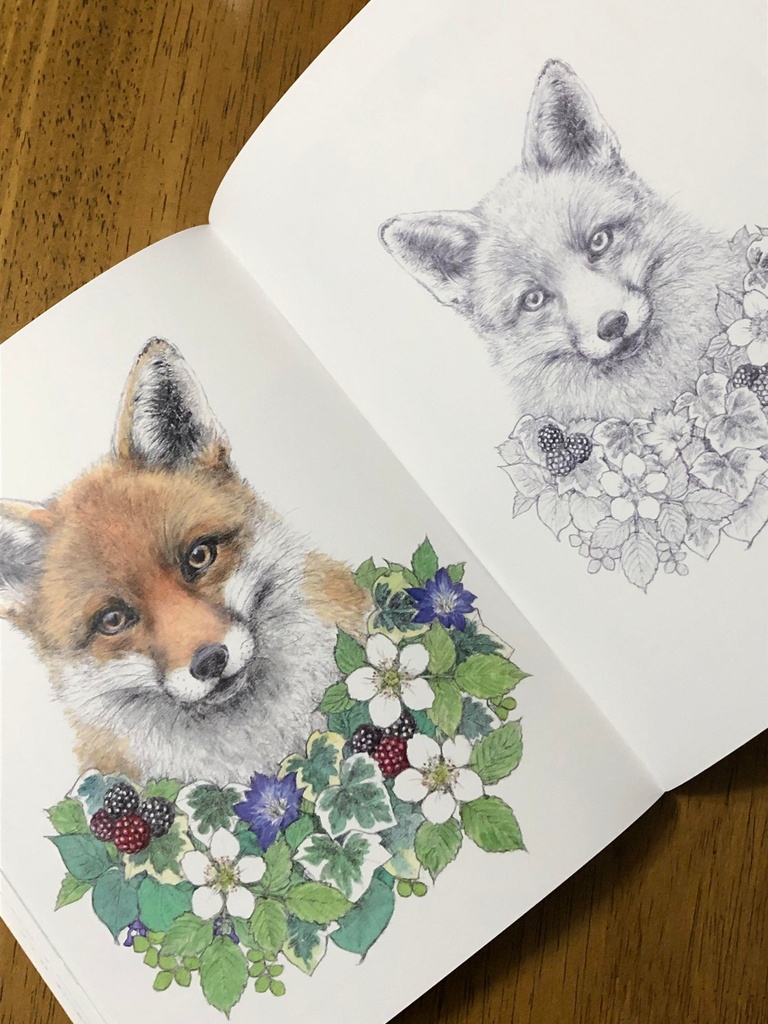 直筆サイン入り 「Birds and Animals 鳥と動物」