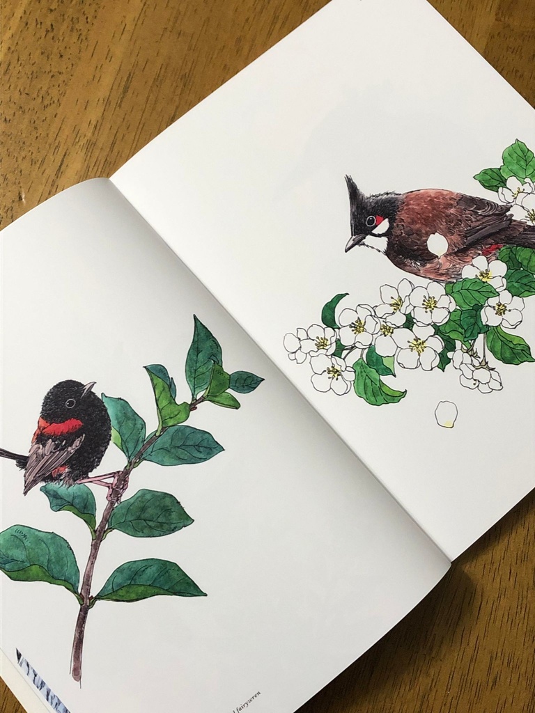 直筆サイン入り 「Birds and Animals 鳥と動物」