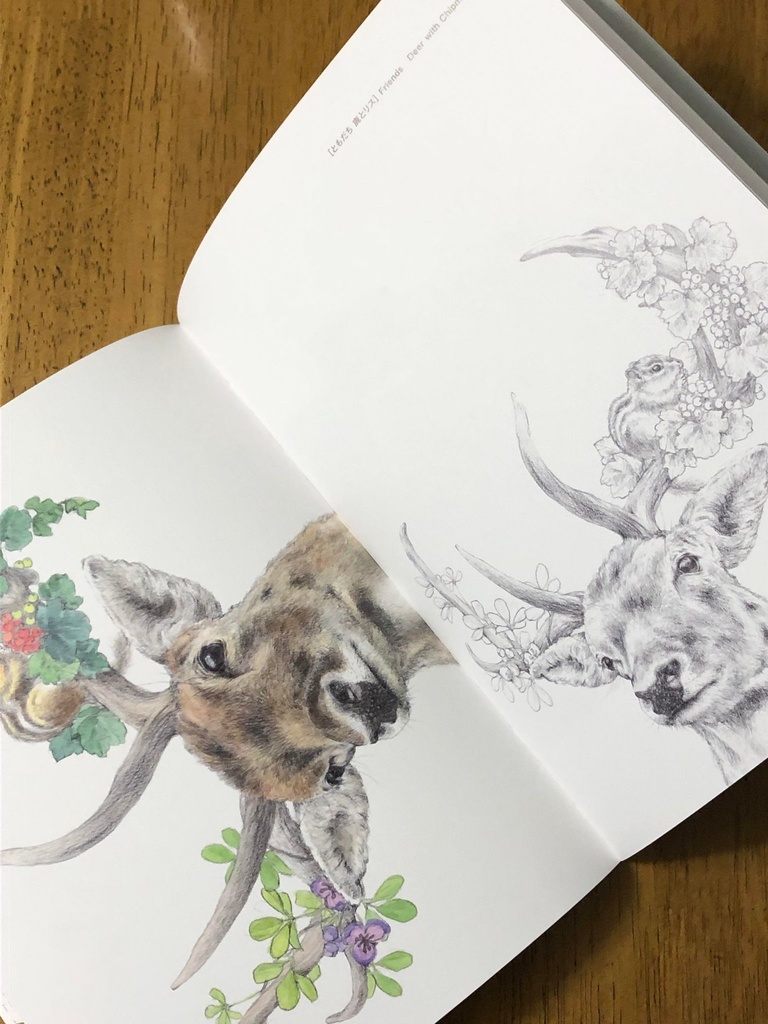 直筆サイン入り 「Birds and Animals 鳥と動物」