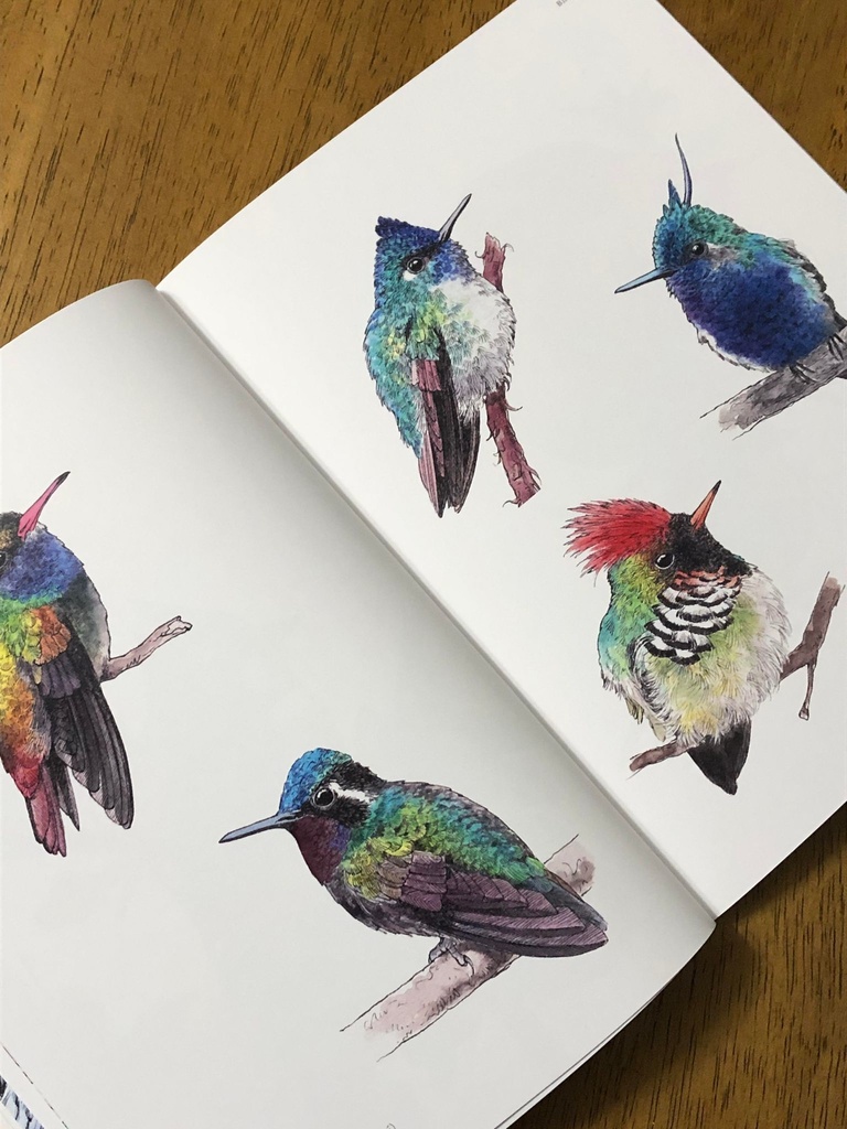 直筆サイン入り 「Birds and Animals 鳥と動物」