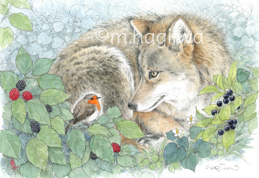 「鳥と動物」ポストカード10枚セット 8/3~8/12