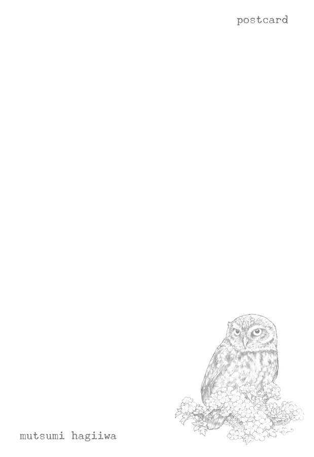 「鳥と動物」ポストカード10枚セット 8/3~8/12