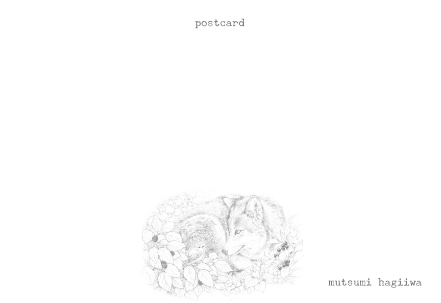 「鳥と動物」ポストカード10枚セット 8/3~8/12