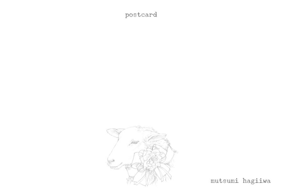 「鳥と動物」ポストカード10枚セット 8/3~8/12