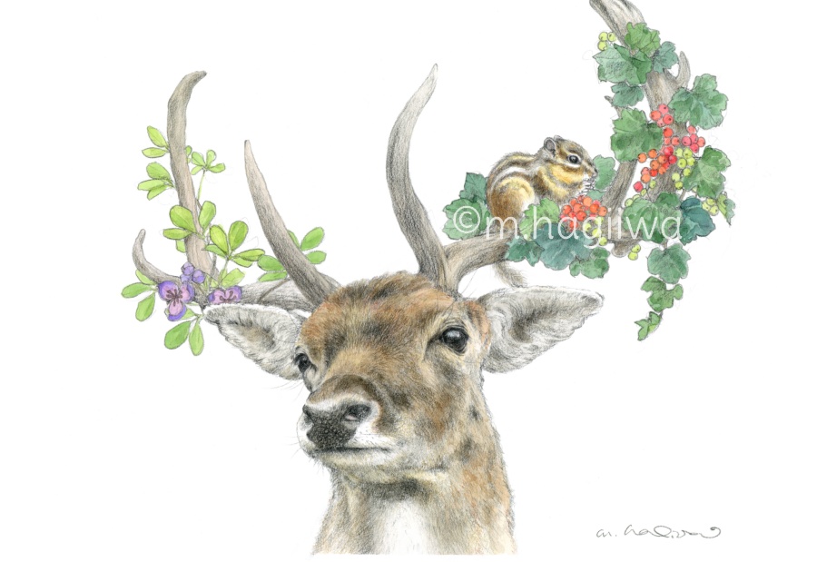 「鳥と動物」ポストカード10枚セット 8/3~8/12