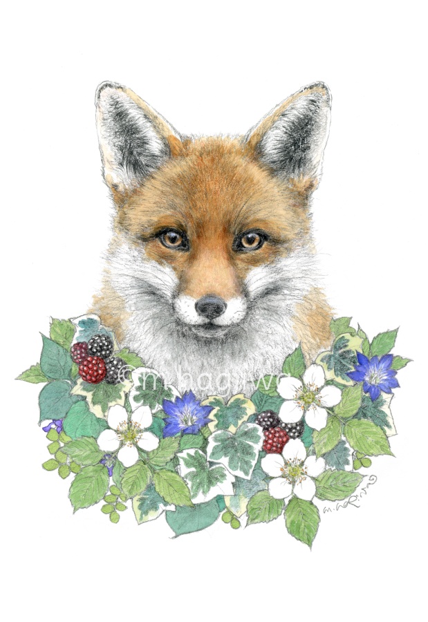 「鳥と動物」ポストカード10枚セット 8/3~8/12