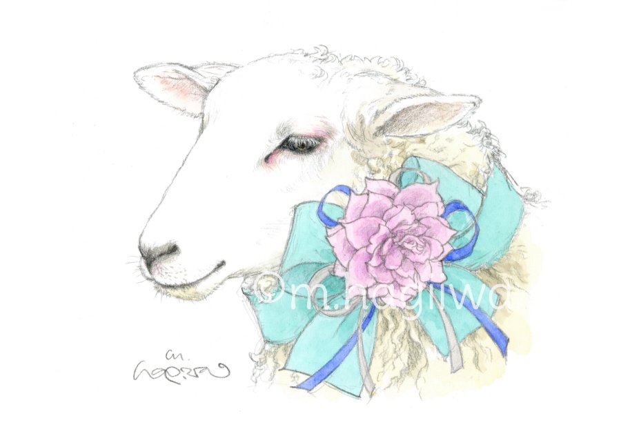 「鳥と動物」ポストカード10枚セット 8/3~8/12