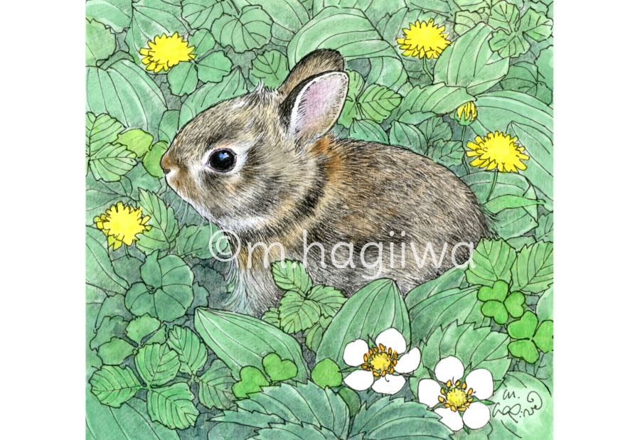 「鳥と動物」ポストカード10枚セット 8/3~8/12