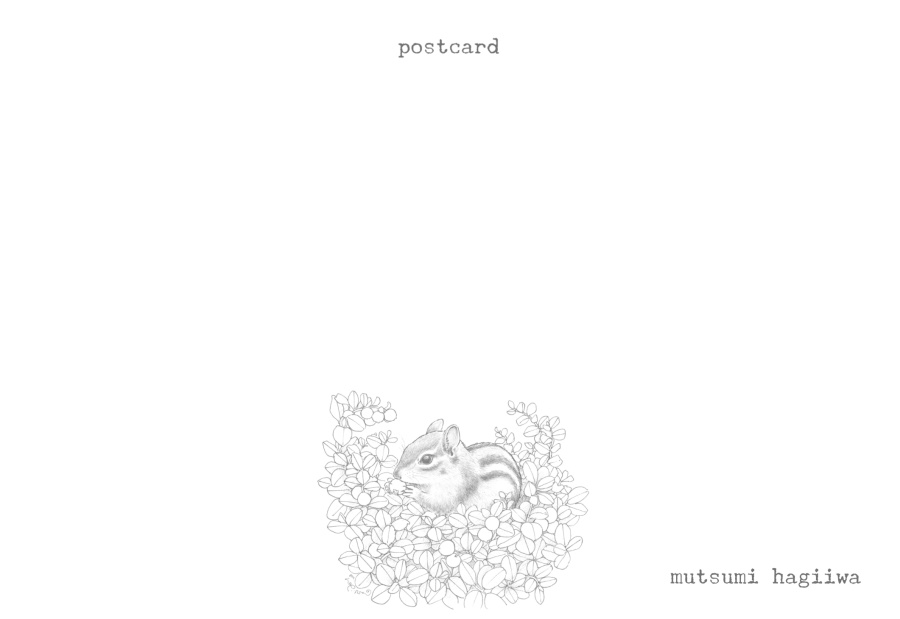 「鳥と動物」ポストカード10枚セット 8/3~8/12