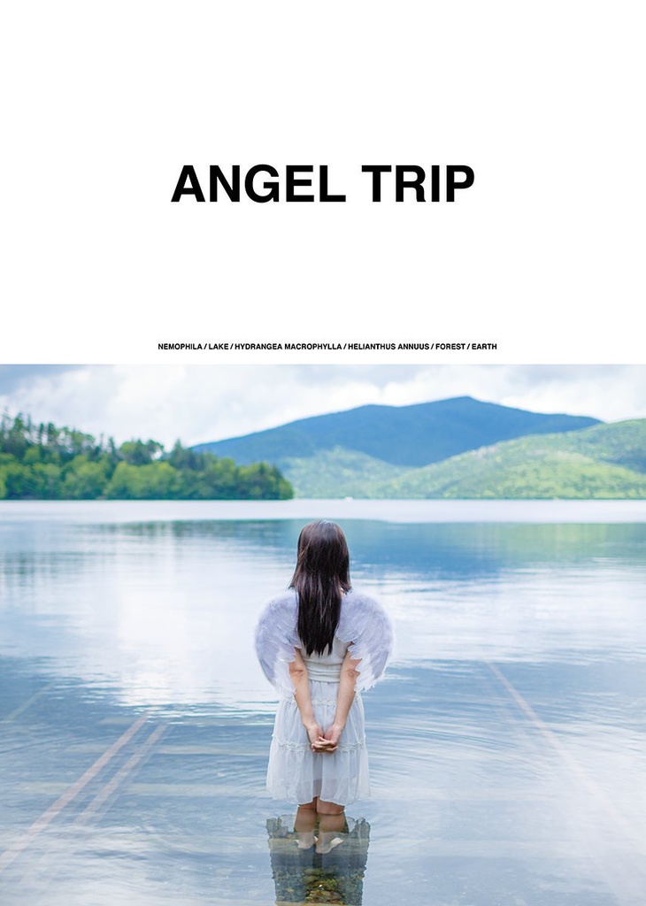 ANGEL TRIP