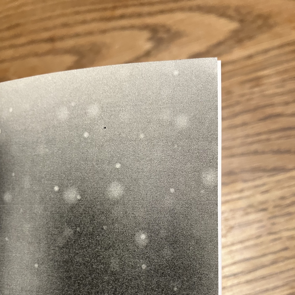 初対面なのに祓.本.五.条が愛を囁いてくる