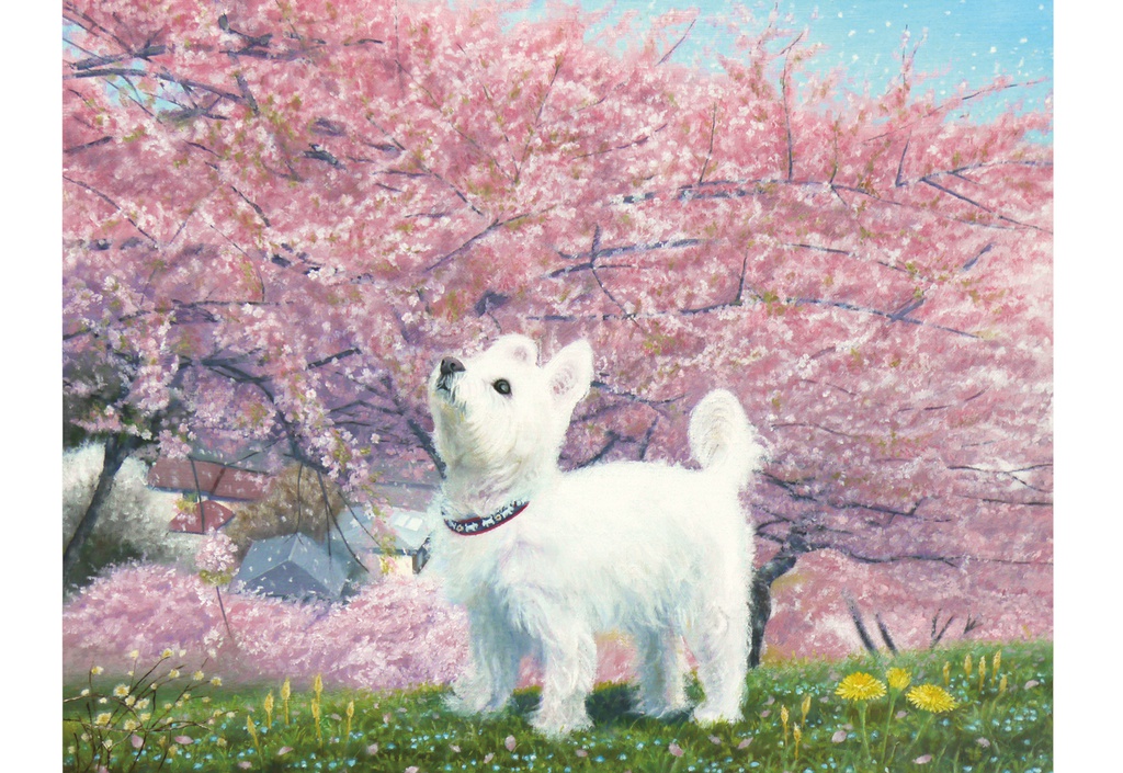 ポストカード　愛犬