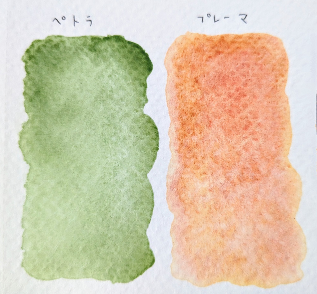 2023年 再販色※