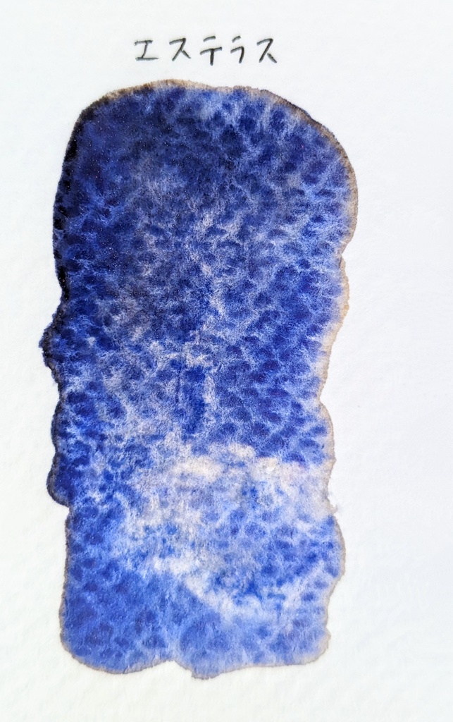 2023年 再販色※