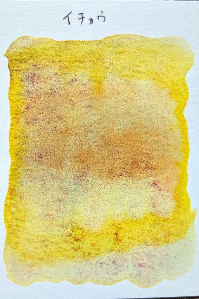 【再販】イチョウ