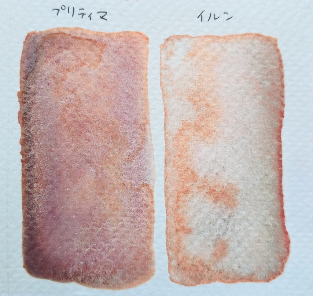 【限定】福袋色単色※在庫限り