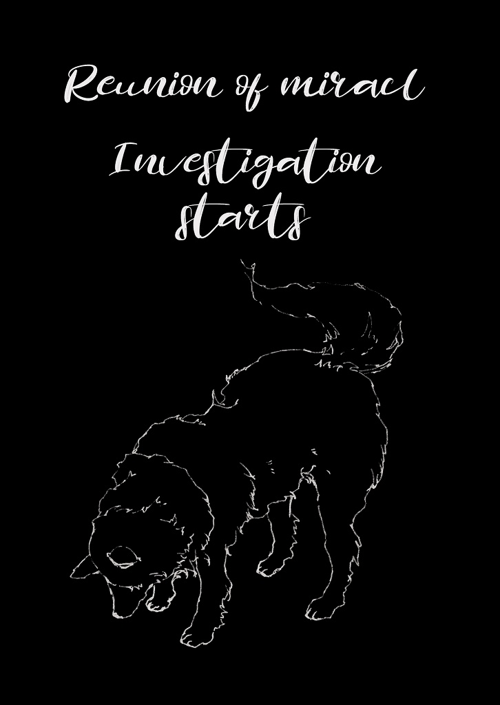 Investigation starts