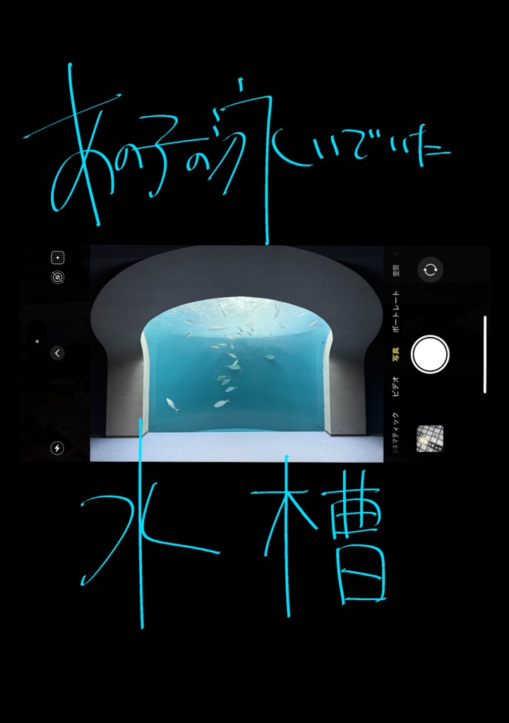 あの子の泳いでいた水槽