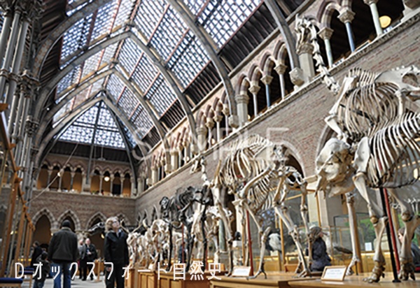 ポストカード各種