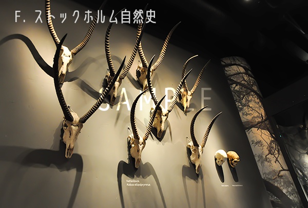 ポストカード各種