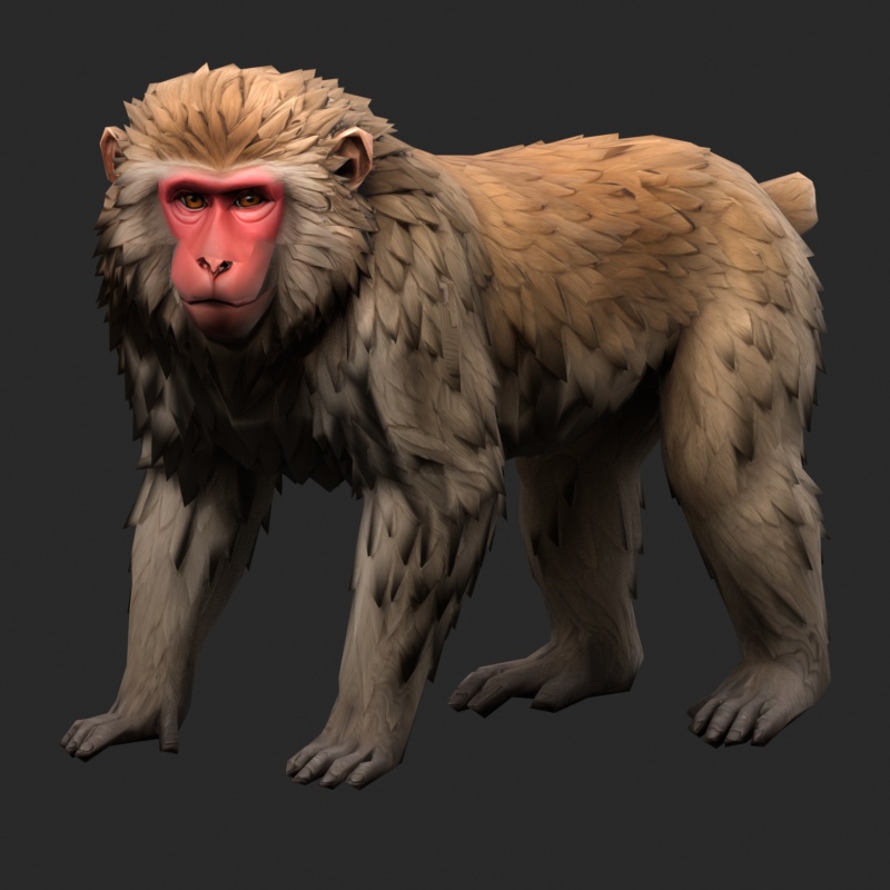 【3Dモデル】ニホンザル MONKEY STANDARD｜5000ポリゴン・リグ付き・OBJ/FBX