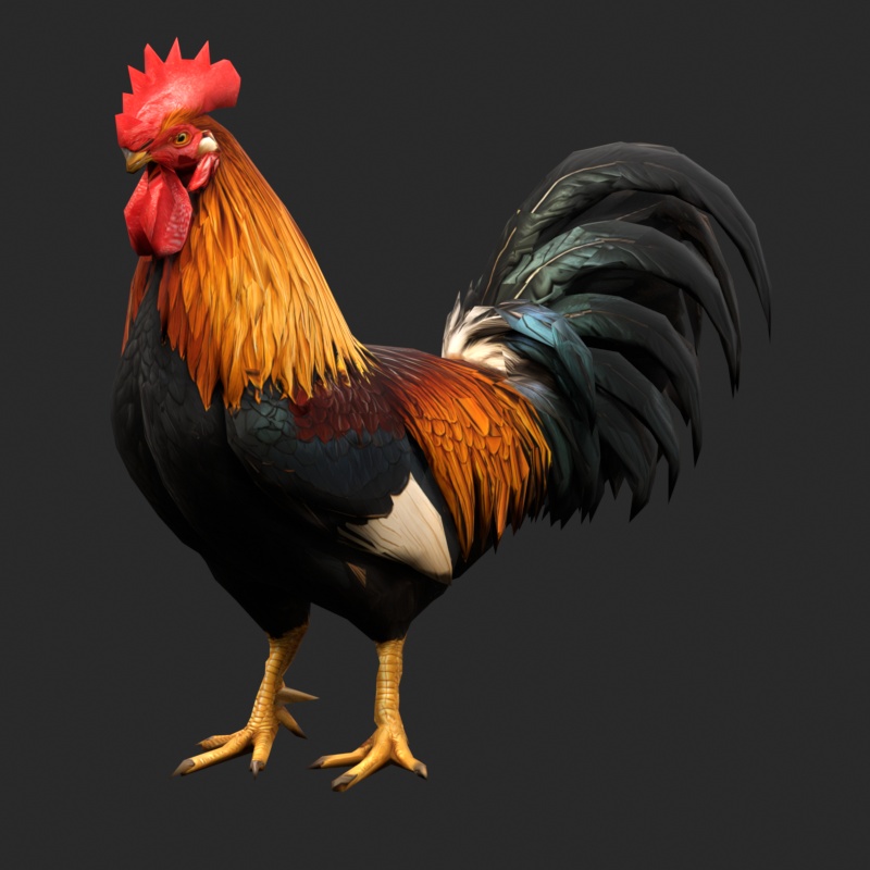 【3Dモデル】雄鶏 ROOSTER STANDARD｜5000ポリゴン・リグ付き・OBJ/FBX