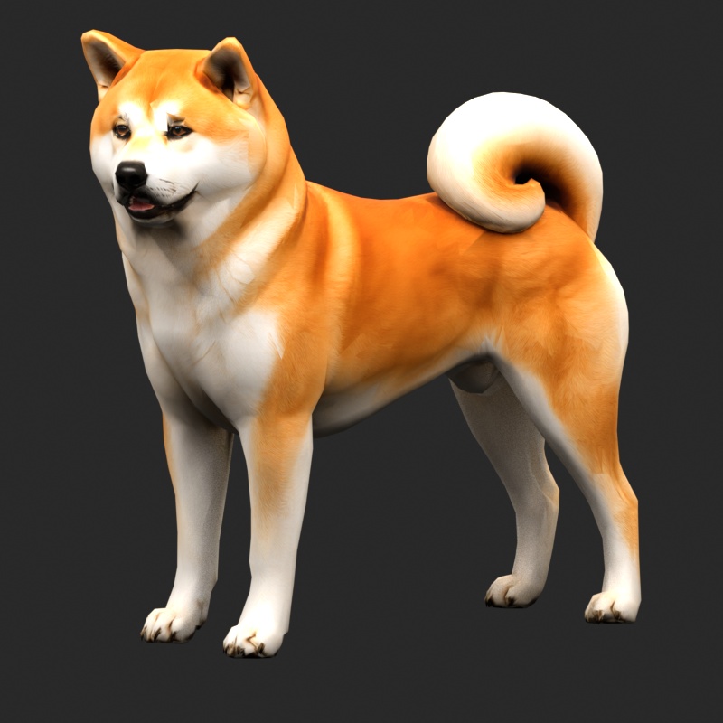 【3Dモデル】秋田犬 AKITA DOG STANDARD｜5000ポリゴン・リグ付き・OBJ/FBX