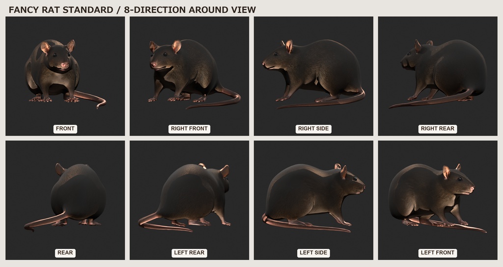 【3Dモデル】ファンシーラット FANCY RAT STANDARD|約5000ポリゴン・リグ付き・OBJ/FBX