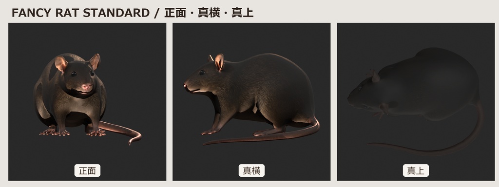 【3Dモデル】ファンシーラット FANCY RAT STANDARD|約5000ポリゴン・リグ付き・OBJ/FBX