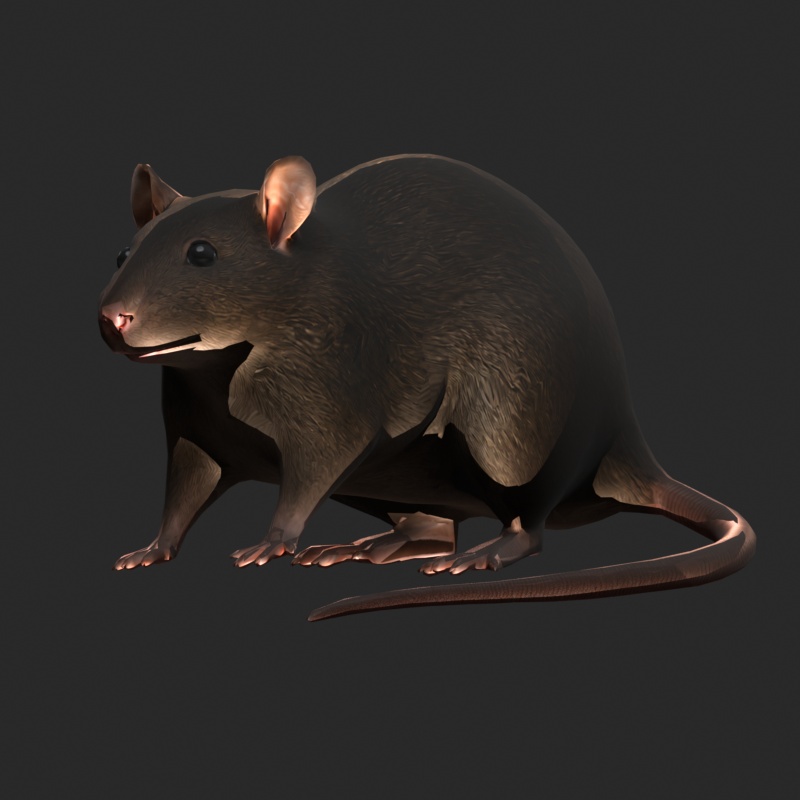 【3Dモデル】ファンシーラット FANCY RAT STANDARD|約5000ポリゴン・リグ付き・OBJ/FBX