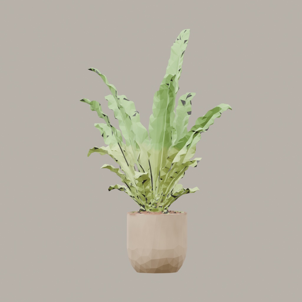【3Dモデル】観葉植物 / シマオオタニワタリ / Bird's nest fern (OBJ・LWO)