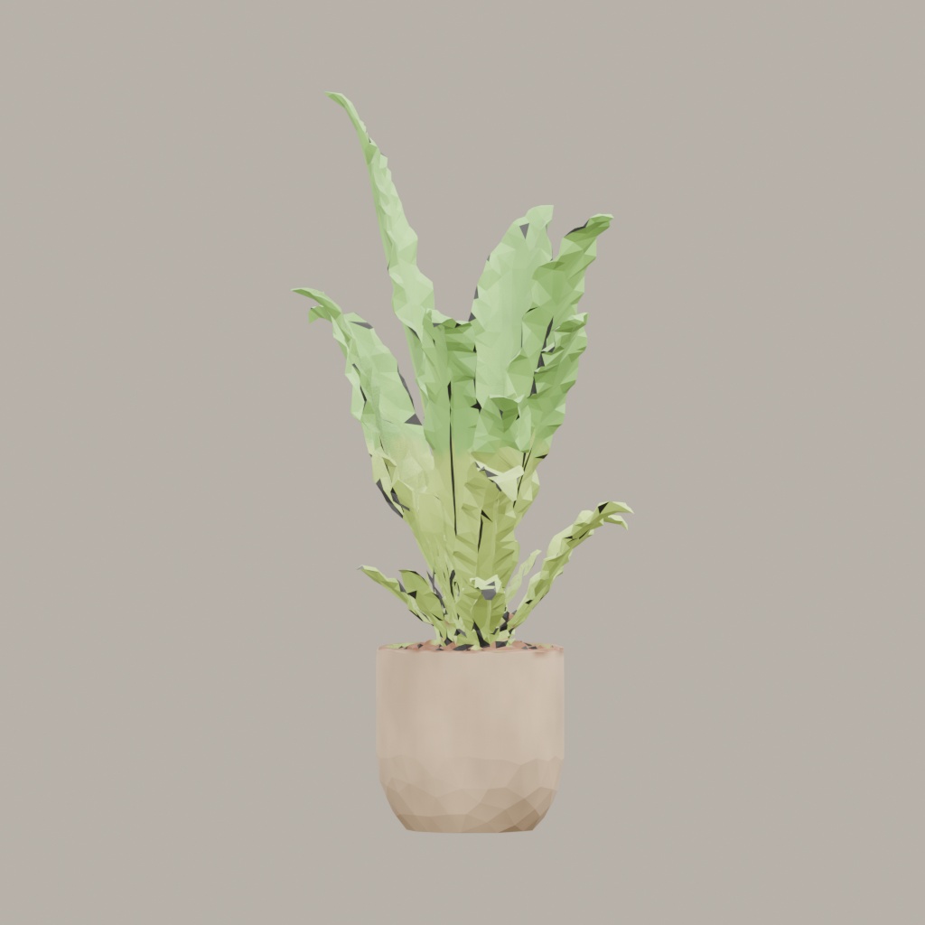 【3Dモデル】観葉植物 / シマオオタニワタリ / Bird's nest fern (OBJ・LWO)