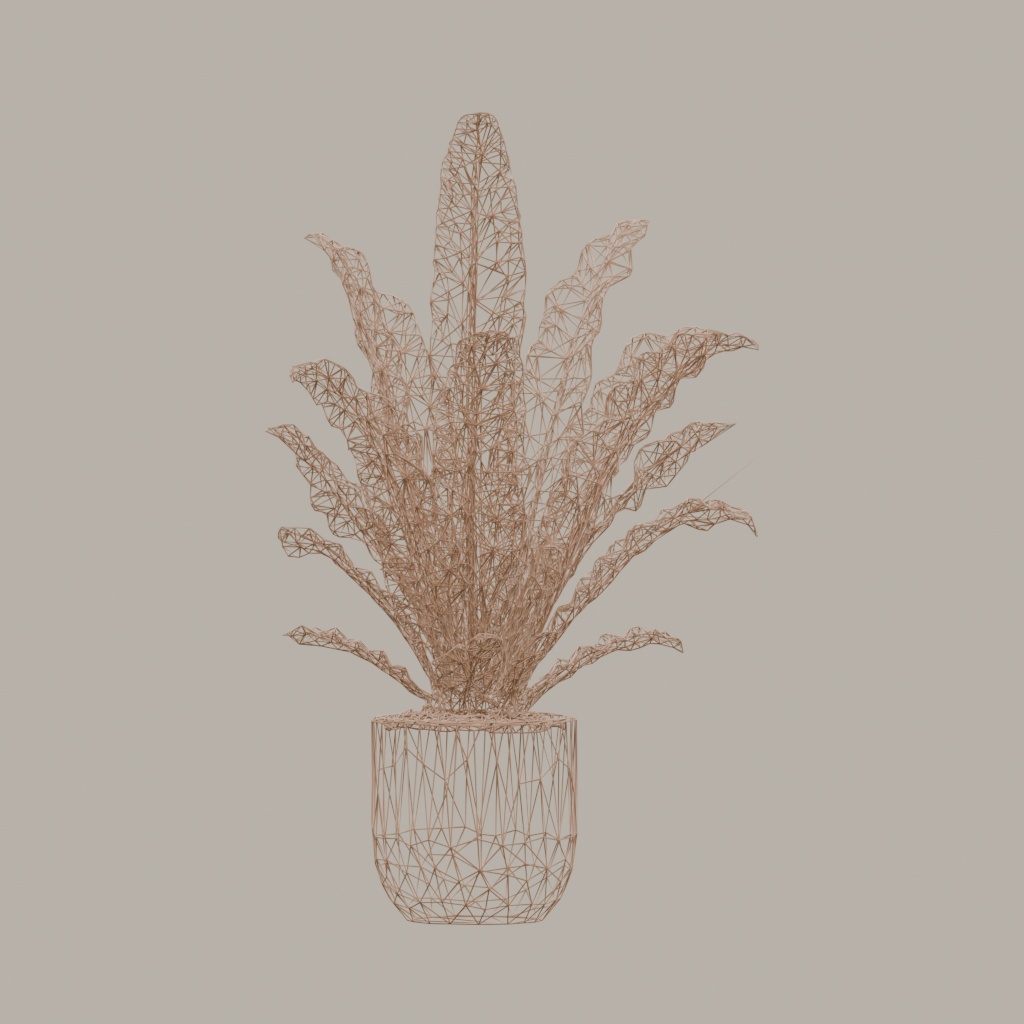 【3Dモデル】観葉植物 / シマオオタニワタリ / Bird's nest fern (OBJ・LWO)