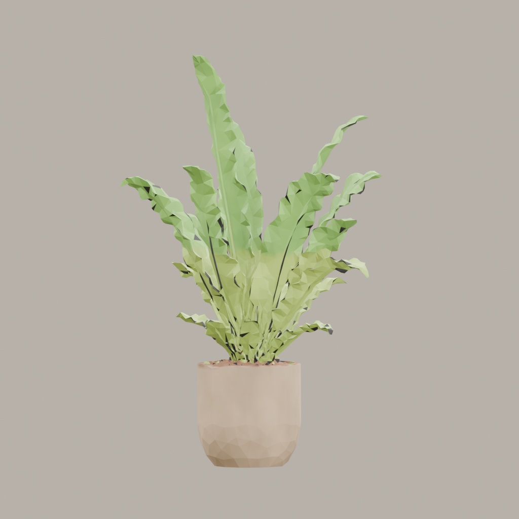 【3Dモデル】観葉植物 / シマオオタニワタリ / Bird's nest fern (OBJ・LWO)