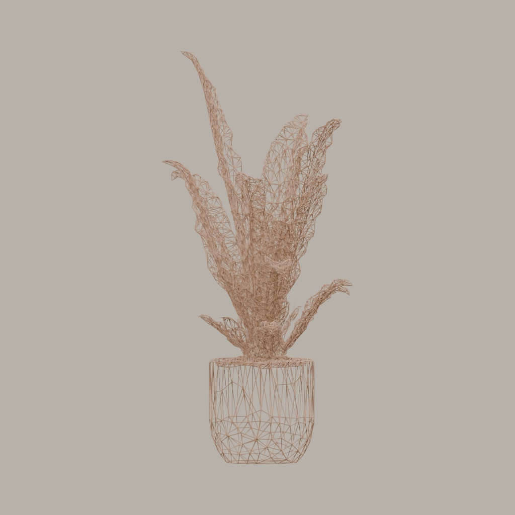 【3Dモデル】観葉植物 / シマオオタニワタリ / Bird's nest fern (OBJ・LWO)