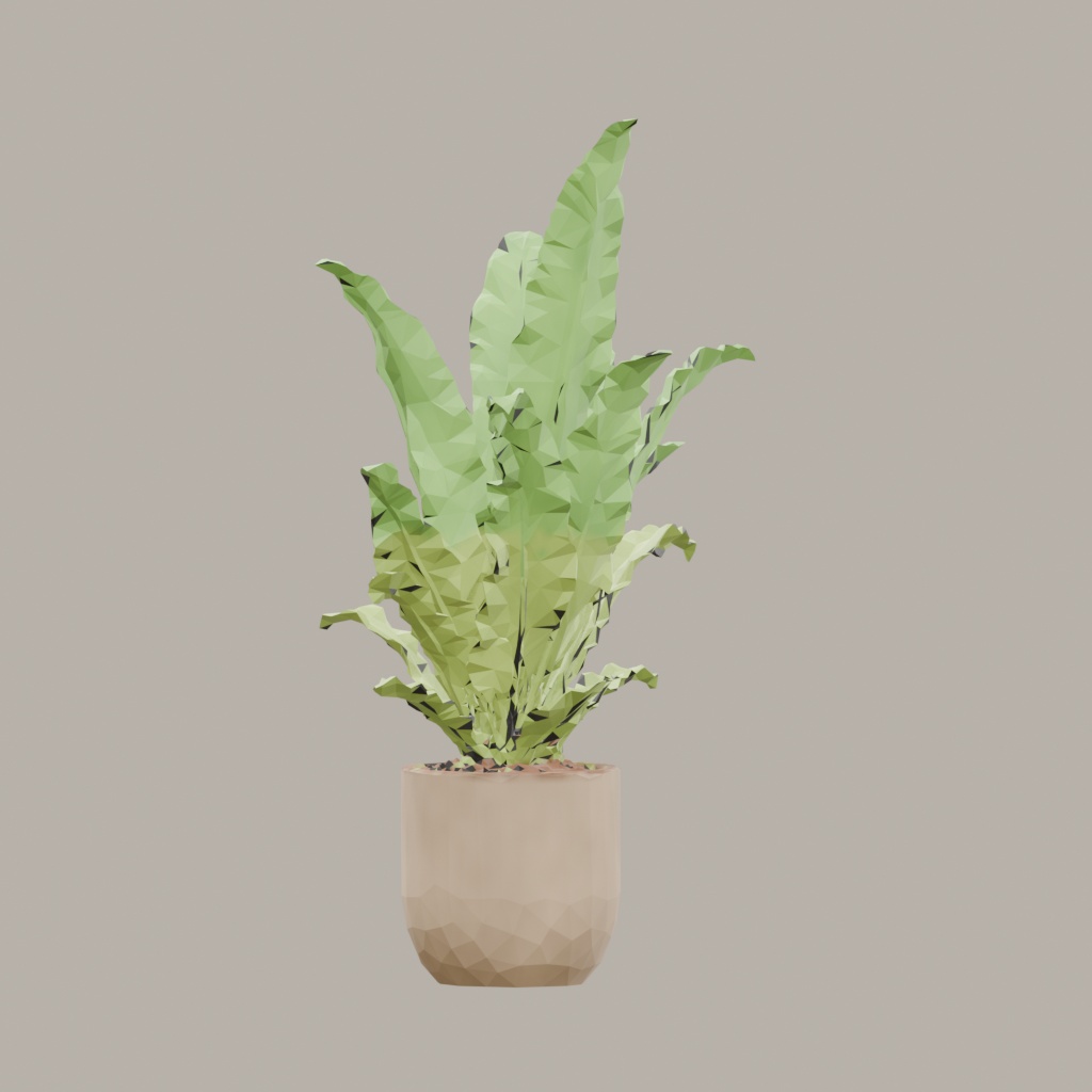 【3Dモデル】観葉植物 / シマオオタニワタリ / Bird's nest fern (OBJ・LWO)