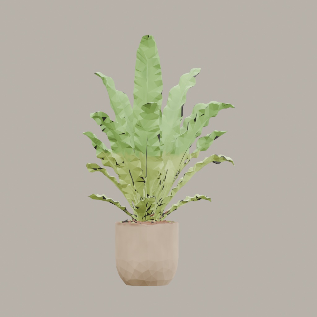 【3Dモデル】観葉植物 / シマオオタニワタリ / Bird's nest fern (OBJ・LWO)