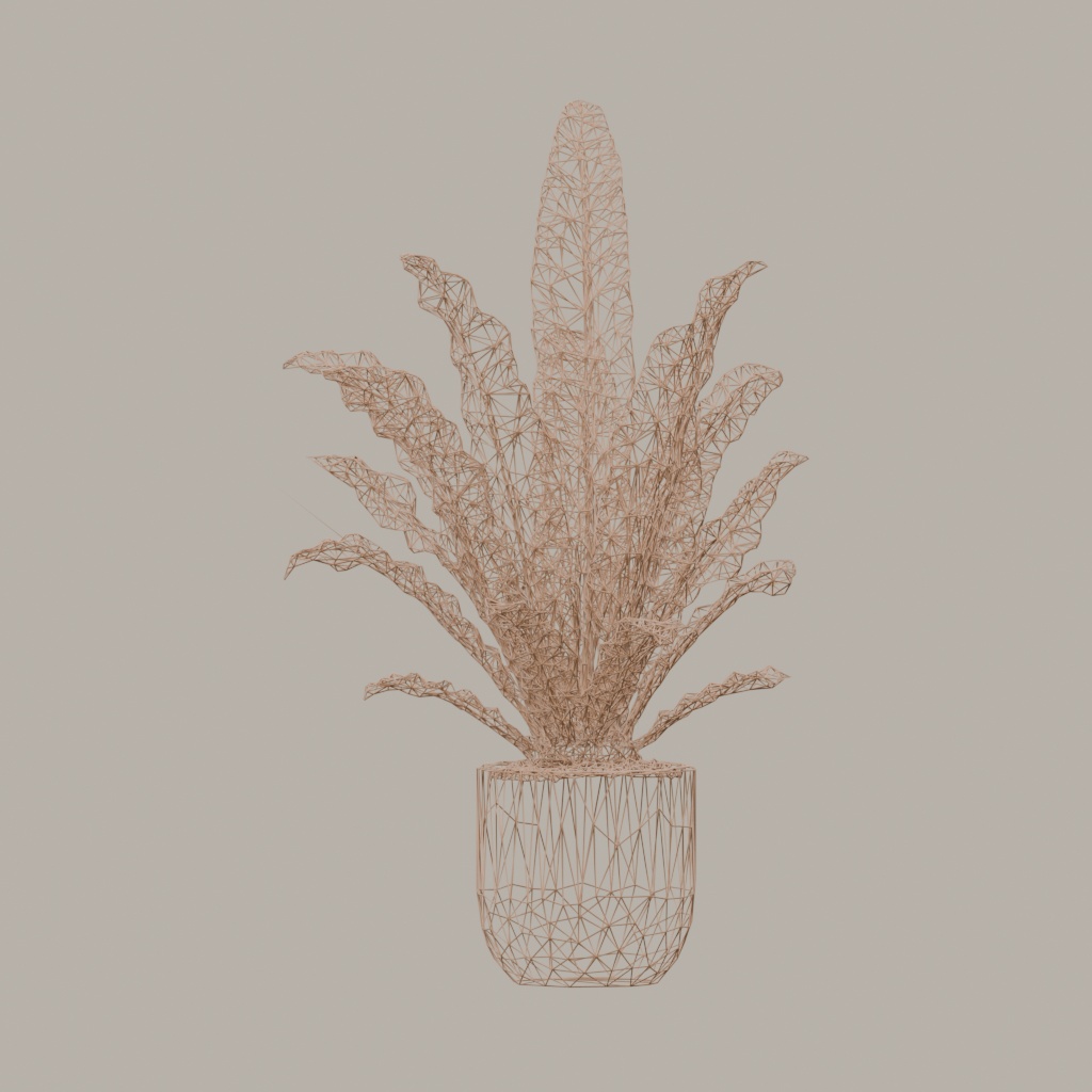 【3Dモデル】観葉植物 / シマオオタニワタリ / Bird's nest fern (OBJ・LWO)