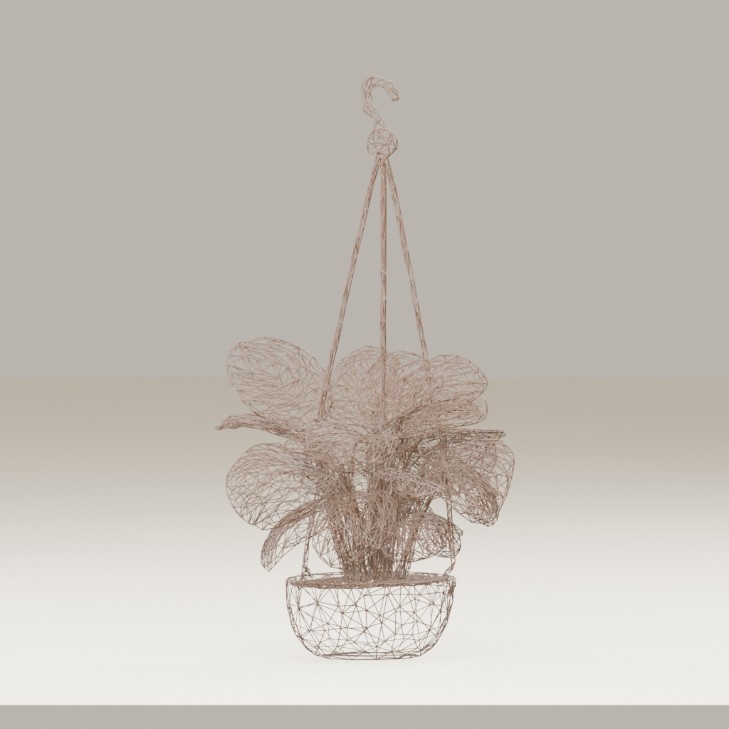 【3Dモデル】観葉植物 / カラテア・オルビフォリア | Calathea orbifolia (OBJ・LWO)