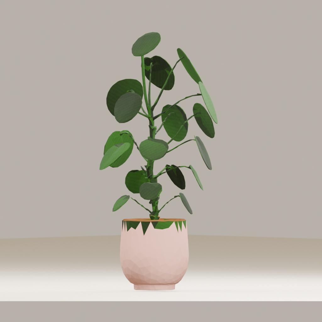 【3Dモデル】観葉植物 / pilea peperomioides ピレア・ペペロミオイデス(OBJ・LWO)