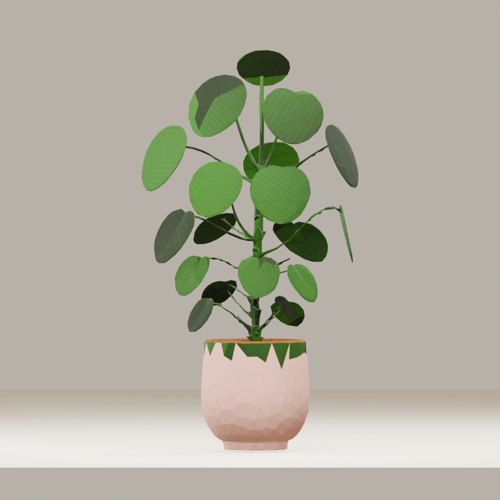 【3Dモデル】観葉植物 / pilea peperomioides ピレア・ペペロミオイデス(OBJ・LWO)