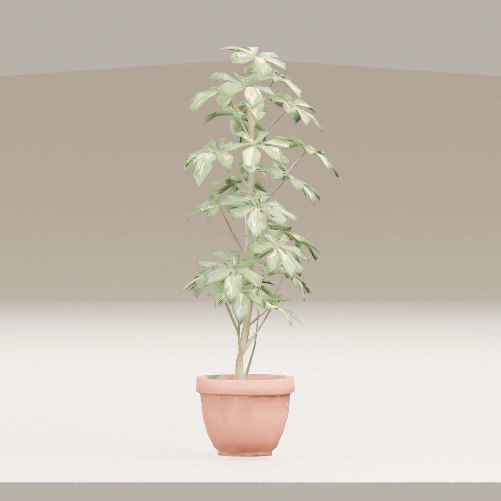 【3Dモデル】観葉植物 / シェフレラ(schefflera_arboricola)(OBJ・LWO)