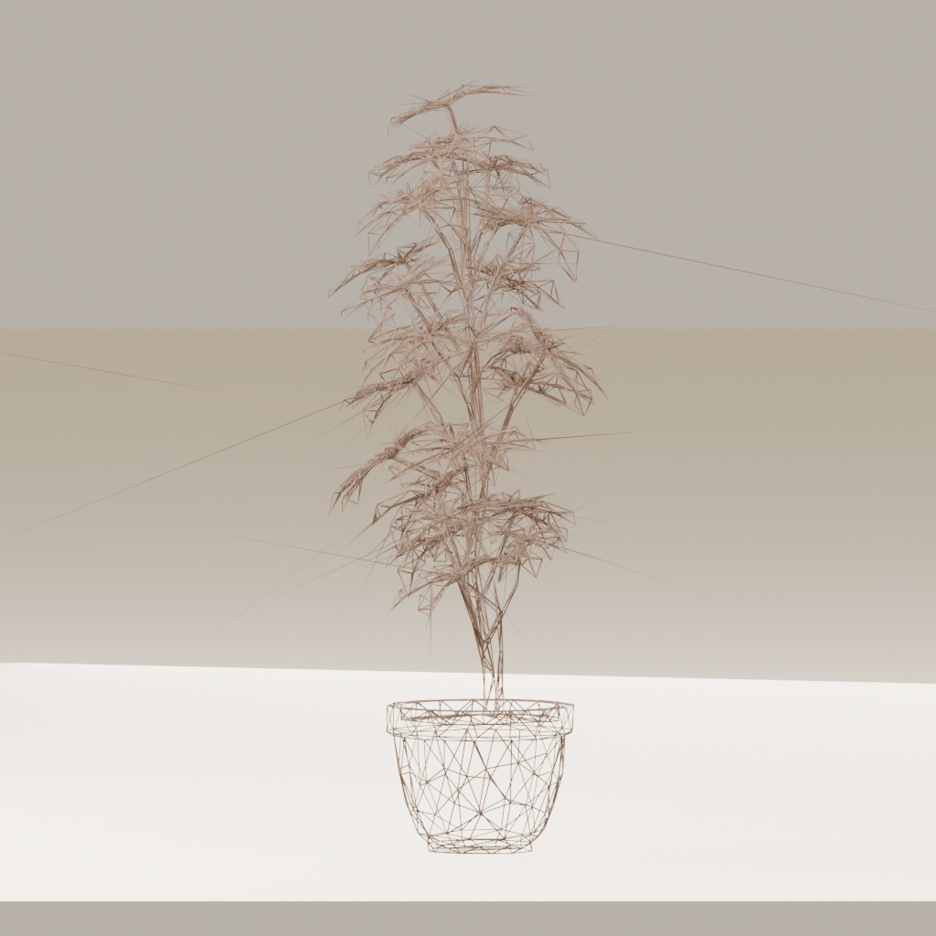 【3Dモデル】観葉植物 / シェフレラ(schefflera_arboricola)(OBJ・LWO)