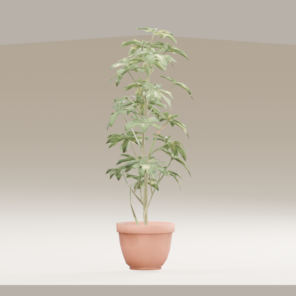 【3Dモデル】観葉植物 / シェフレラ(schefflera_arboricola)(OBJ・LWO)
