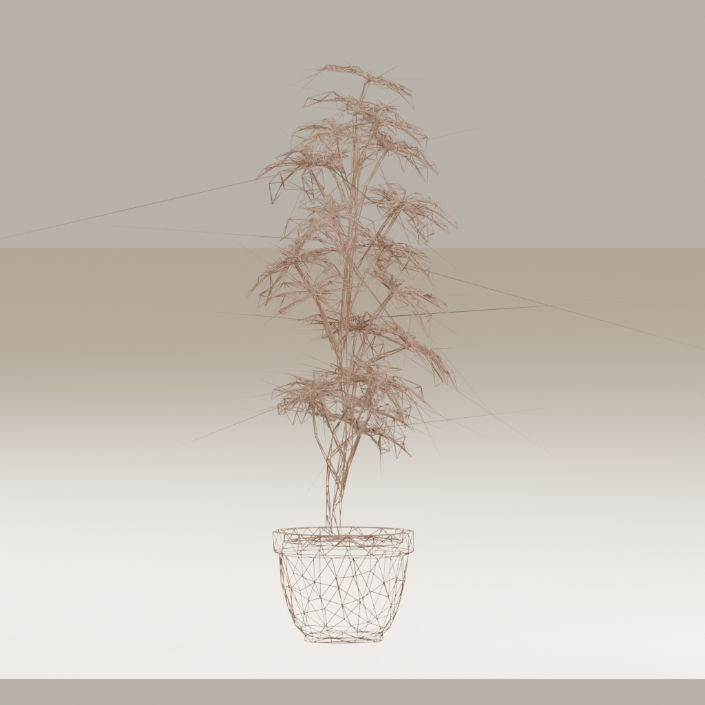 【3Dモデル】観葉植物 / シェフレラ(schefflera_arboricola)(OBJ・LWO)