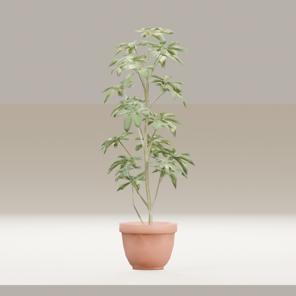 【3Dモデル】観葉植物 / シェフレラ(schefflera_arboricola)(OBJ・LWO)