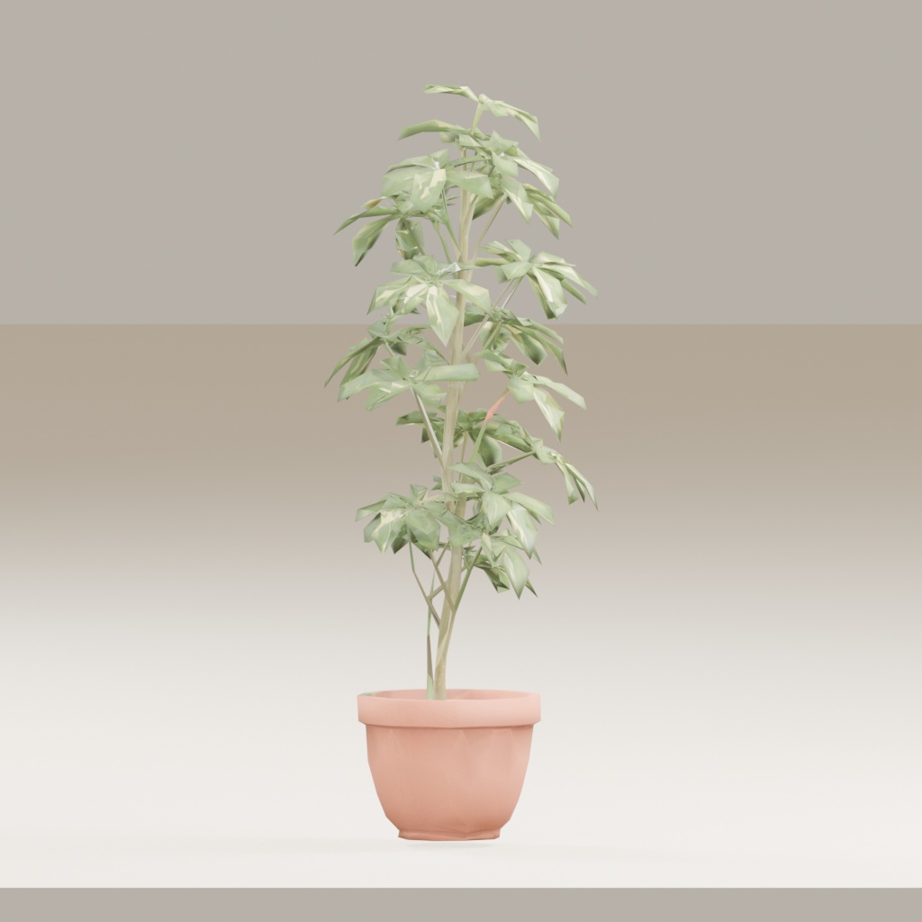 【3Dモデル】観葉植物 / シェフレラ(schefflera_arboricola)(OBJ・LWO)